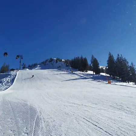 Barbara-1 By Interhome * Auffach