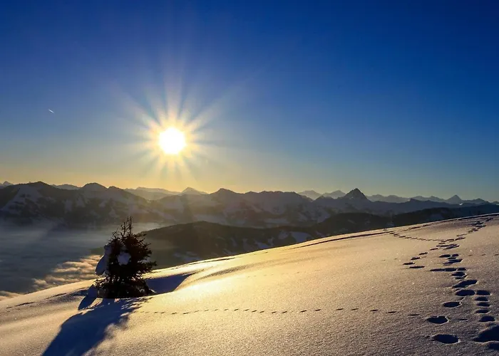 Appartement Barbara-1 By Interhome